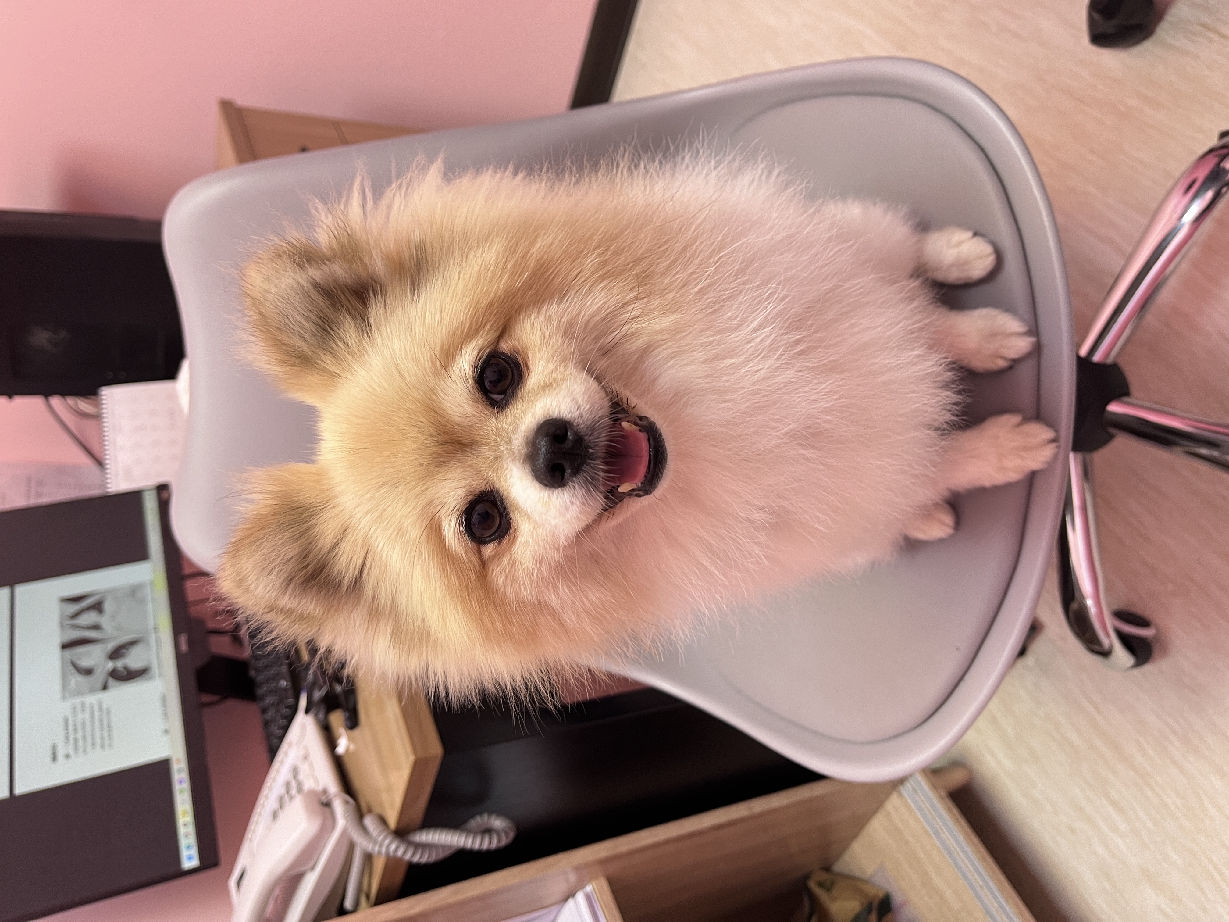 小碗