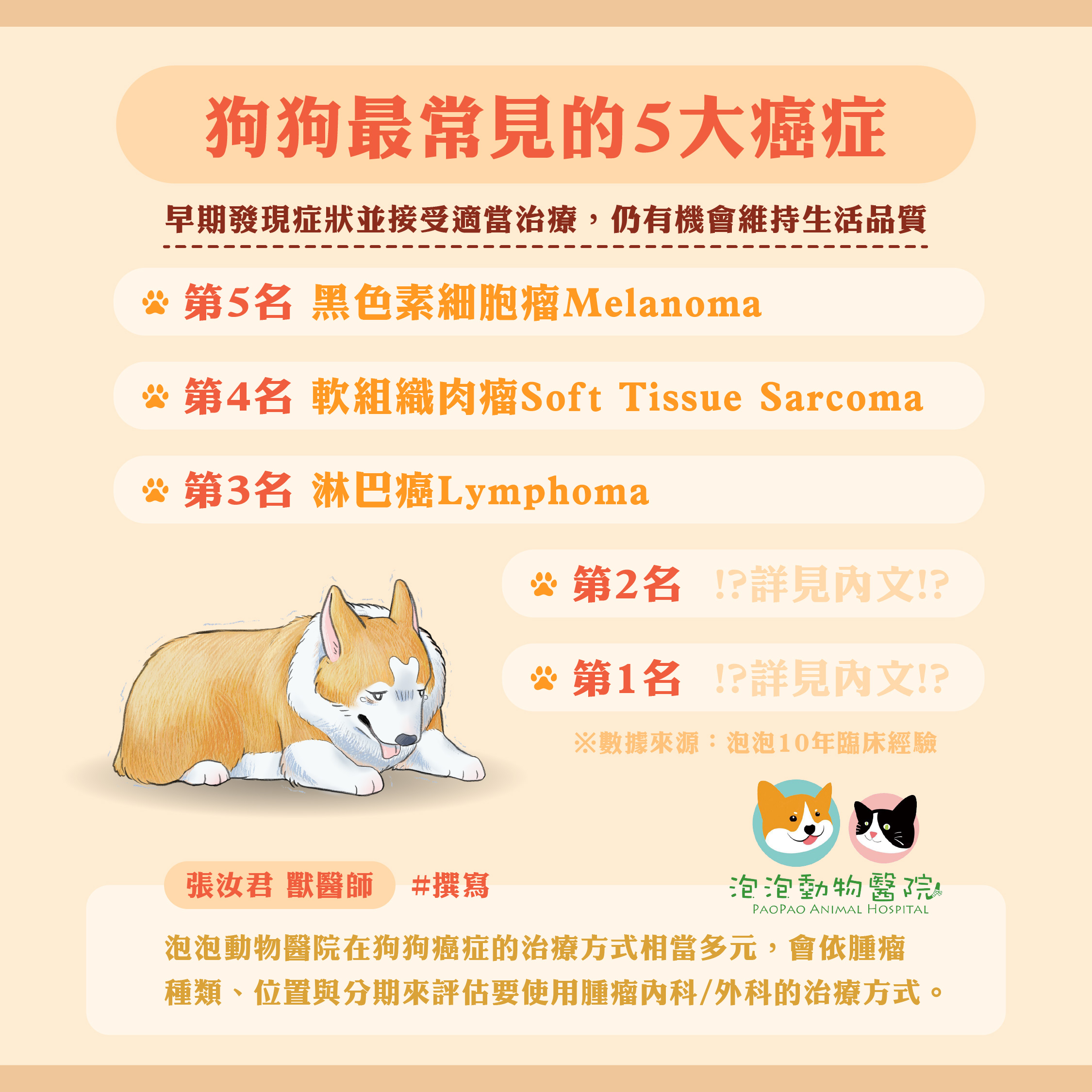 狗狗最常見的5大癌症｜常見症狀、腫瘤診斷、治療方式與早期警訊