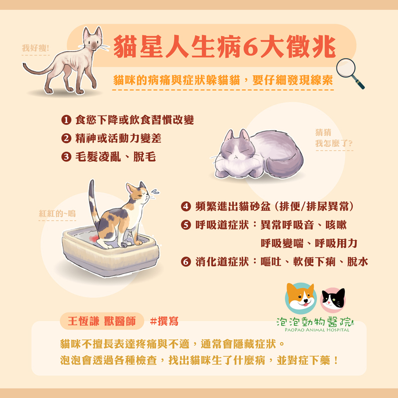 貓咪常見5大癌症有哪些？腫瘤症狀與治療方式一次了解