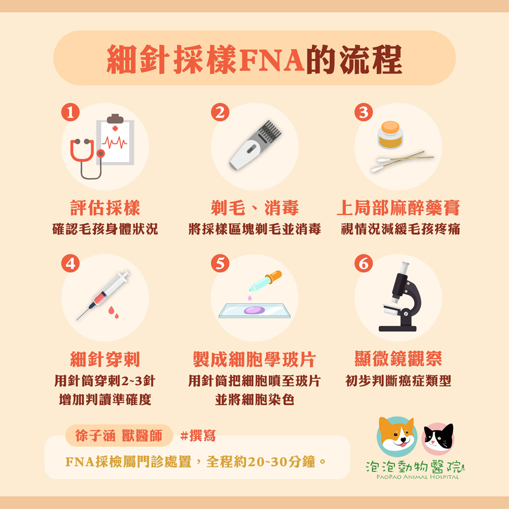 細針採樣 FNA流程 細針採樣 FNA流程