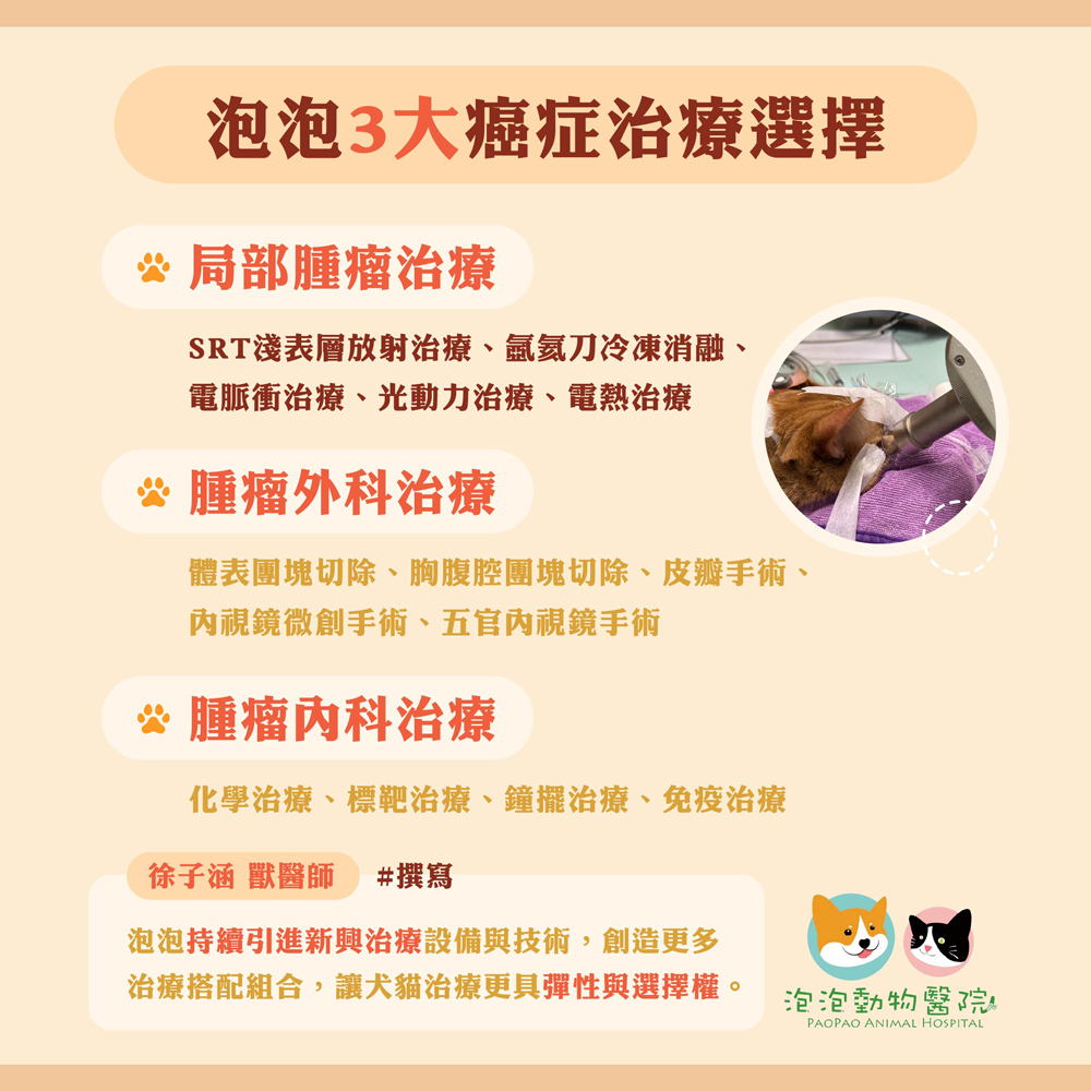 泡泡動物醫院3大癌症治療選擇:局部腫瘤治療、腫瘤外科治療與腫瘤內科治療 泡泡動物醫院3大癌症治療選擇:局部腫瘤治療、腫瘤外科治療與腫瘤內科治療