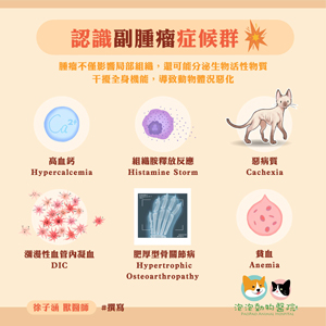 認識犬貓的副腫瘤症候群 (Paraneoplastic Syndrome)