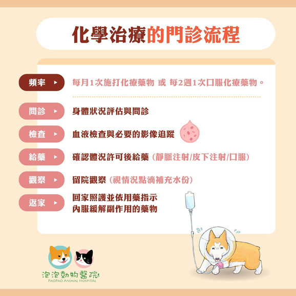 犬貓化學治療的門診流程