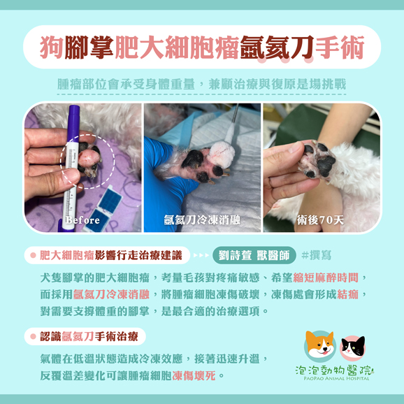 氬氦刀 / 冷凍消融治療案例-狗腳掌肥大細胞瘤