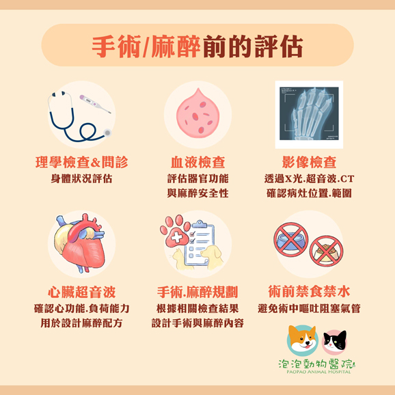 電脈衝化療 (ECT) 治療的術前評估與施作流程說明 電脈衝化療 (ECT) 治療的術前評估與施作流程說明
