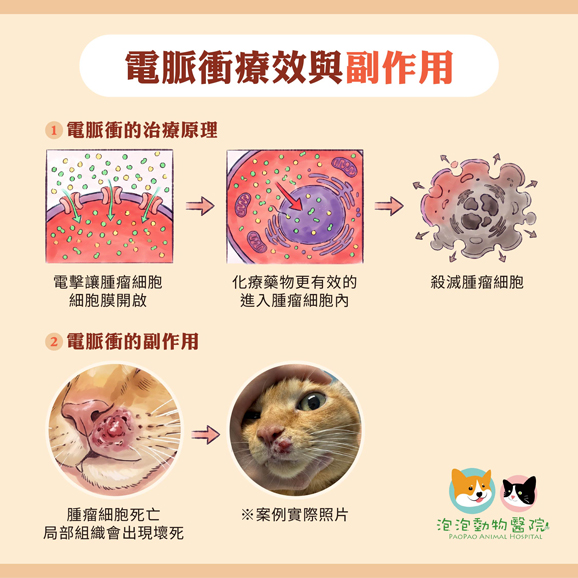 電脈衝化療 (ECT) 的療效與副作用 電脈衝化療 (ECT) 的療效與副作用