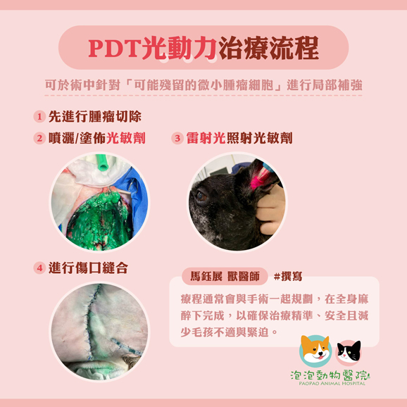 光動力治療 (PDT) 手術當天流程說明