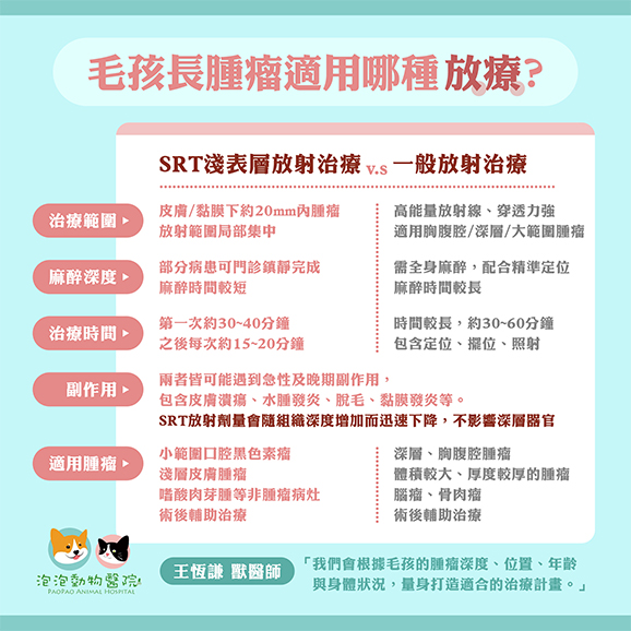 毛孩長腫瘤是用哪種放射線治療?解釋淺表層放射線治療(SRT)與一般放射治療的差異 毛孩長腫瘤是用哪種放射線治療?解釋淺表層放射線治療(SRT)與一般放射治療的差異