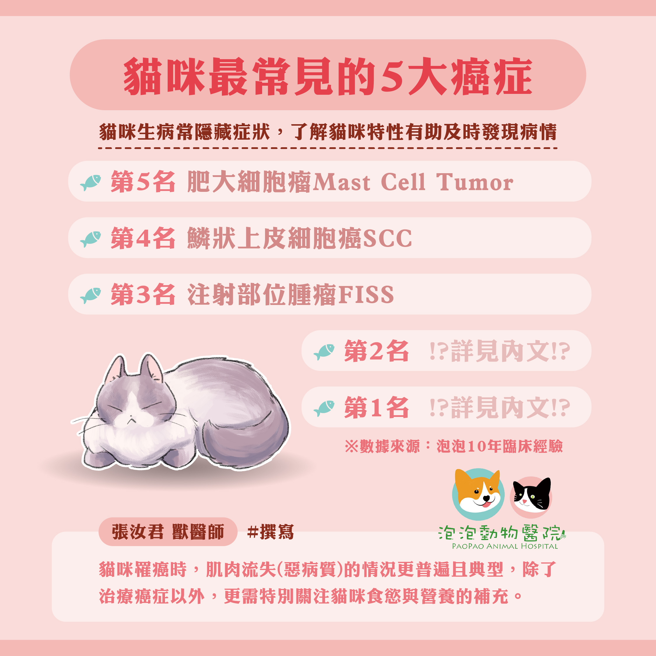 貓咪最常見的5大癌症｜常見症狀、治療方式一次了解